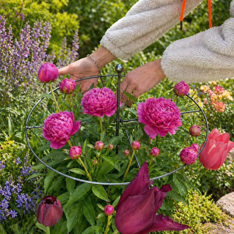 🌬️ Wind, rain, heavy heads – your flowers won't budge with this metal frame! 💪🌷
