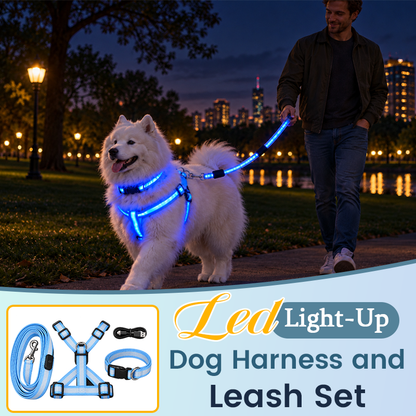 🐕LED Dog Harness & Leash Set — Bright Night Walks, Easier to Spot After Dark