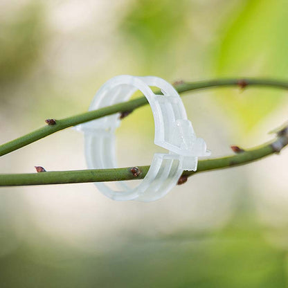 🍅 Help your crops and climbing plants thrive—just one clip, and you’ll never have to worry about drooping vines again! 🌿