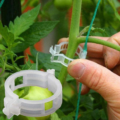 🍅 Help your crops and climbing plants thrive—just one clip, and you’ll never have to worry about drooping vines again! 🌿