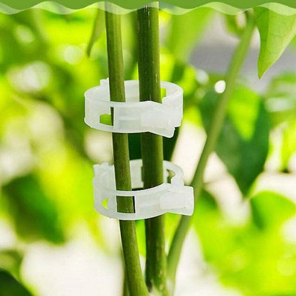 🍅 Help your crops and climbing plants thrive—just one clip, and you’ll never have to worry about drooping vines again! 🌿