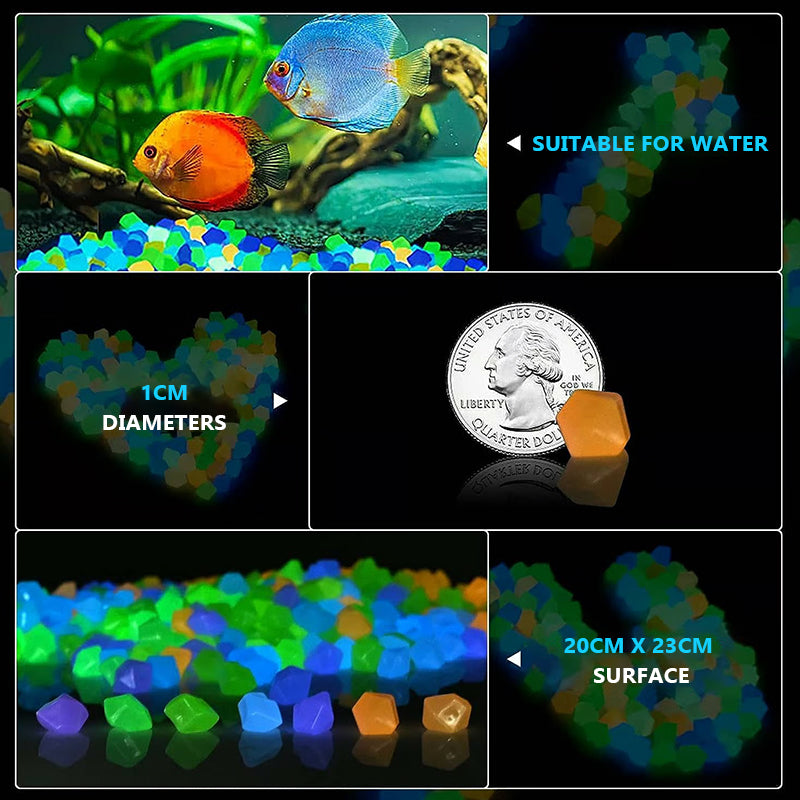 ✨ Turn Your Garden Into a Glowing Night Scene 🌙