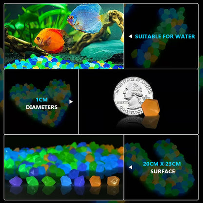 ✨ Turn Your Garden Into a Glowing Night Scene 🌙