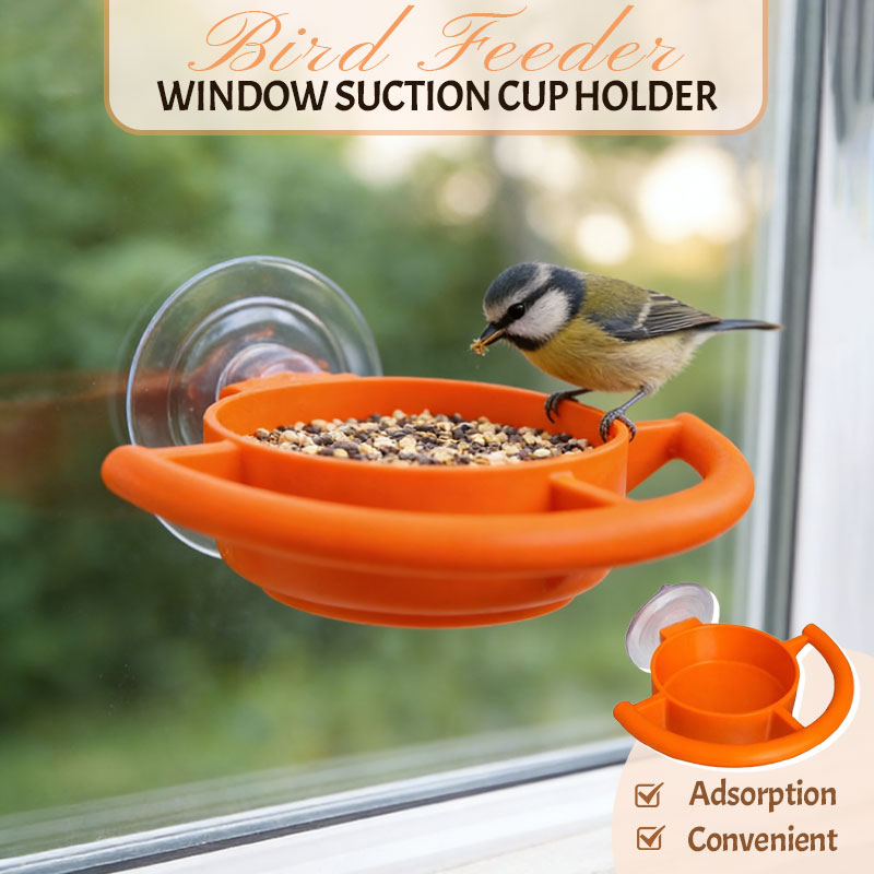 🐦 Let the birds bring nature right to your window! ✨🏠