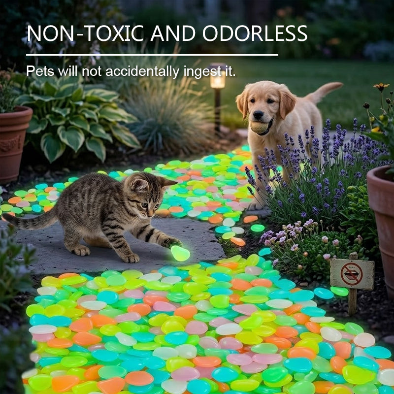 ✨ Turn Your Garden Into a Glowing Night Scene 🌙