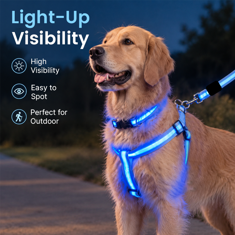 🐕LED Dog Harness & Leash Set — Bright Night Walks, Easier to Spot After Dark