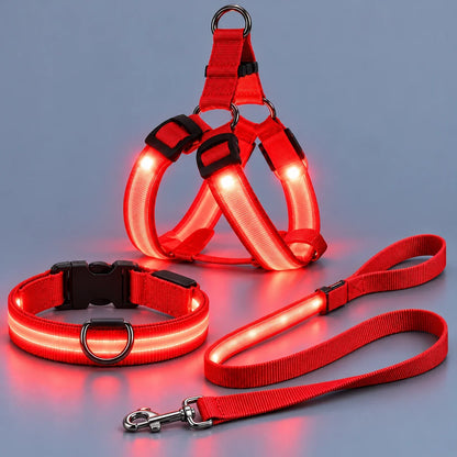 🐕LED Dog Harness & Leash Set — Bright Night Walks, Easier to Spot After Dark