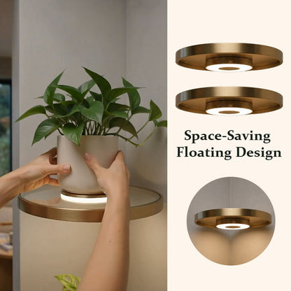 💡 Ultimate 2-in-1 LED Floating Shelf: Geometric Wall Display & Soft Ambient Night Light! 🌿