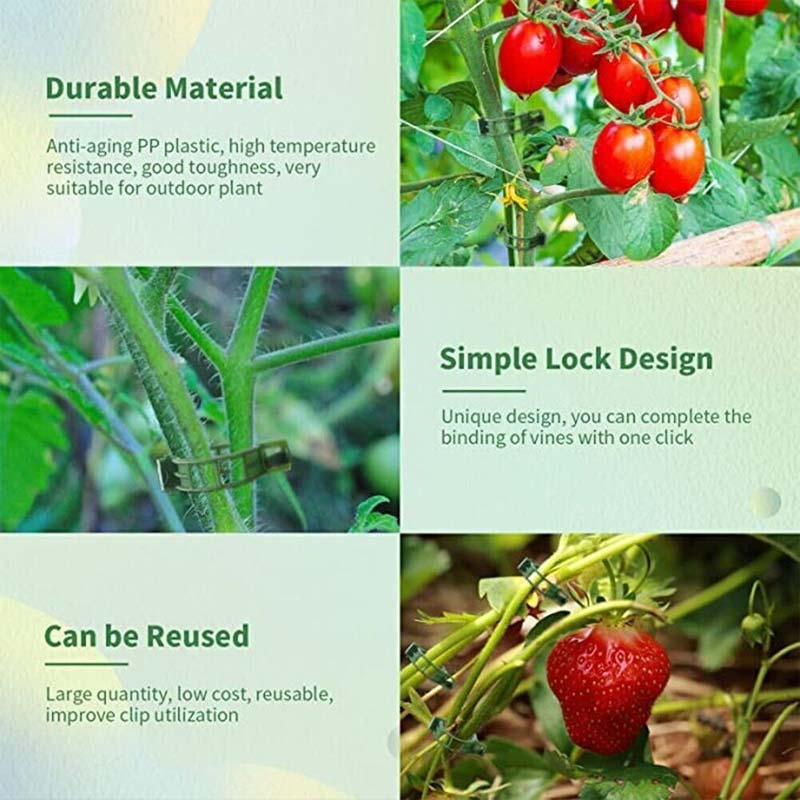 🍅 Help your crops and climbing plants thrive—just one clip, and you’ll never have to worry about drooping vines again! 🌿