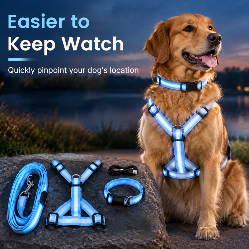 🐕LED Dog Harness & Leash Set — Bright Night Walks, Easier to Spot After Dark
