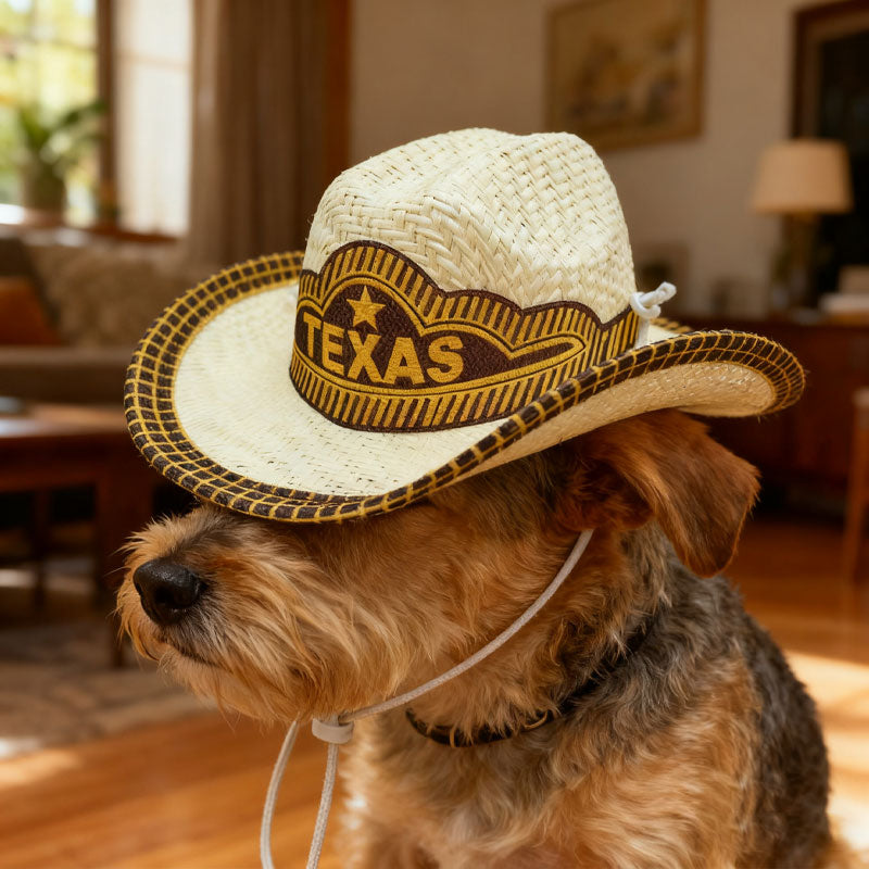 🤠 Mini Cowboy Hat for Pets – Tiny Hat, Big Personality! 🐾✨