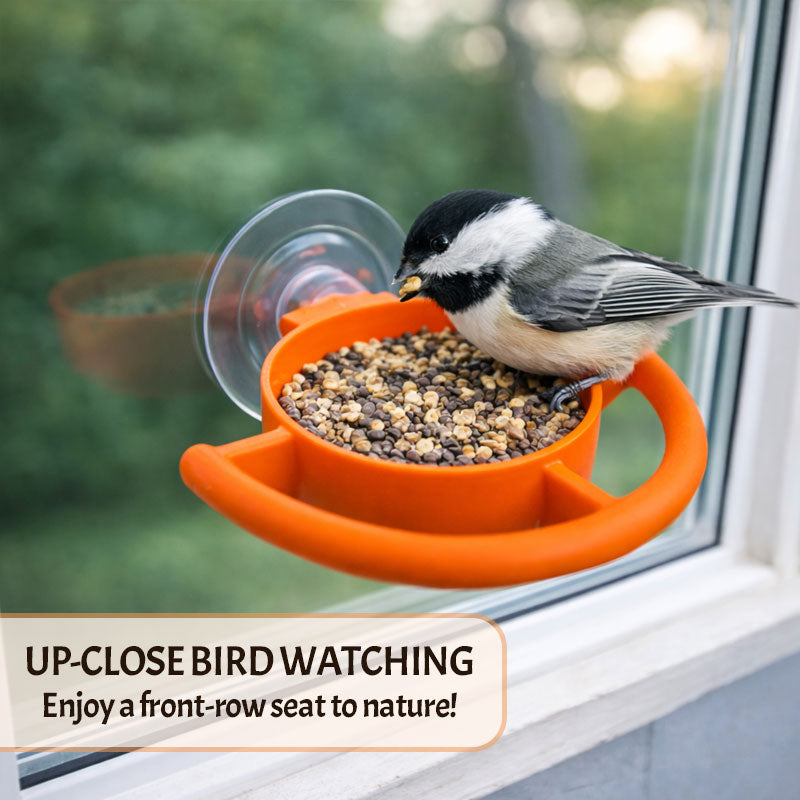 🐦 Let the birds bring nature right to your window! ✨🏠
