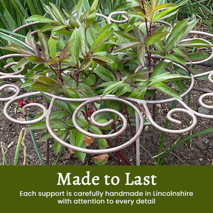 🌸 Your flowers stand tall, silently – plant support that disappears in the greenery! 🌿✨