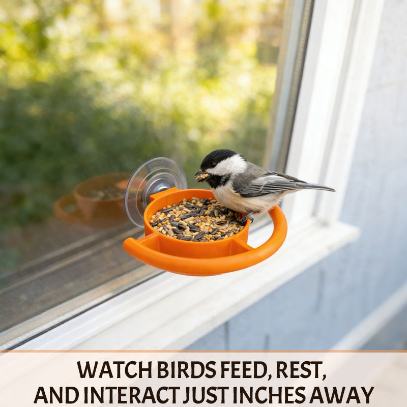 🐦 Let the birds bring nature right to your window! ✨🏠