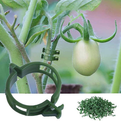 🍅 Help your crops and climbing plants thrive—just one clip, and you’ll never have to worry about drooping vines again! 🌿