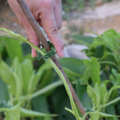 🍅 Help your crops and climbing plants thrive—just one clip, and you’ll never have to worry about drooping vines again! 🌿