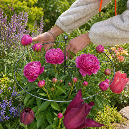 🌬️ Wind, rain, heavy heads – your flowers won't budge with this metal frame! 💪🌷