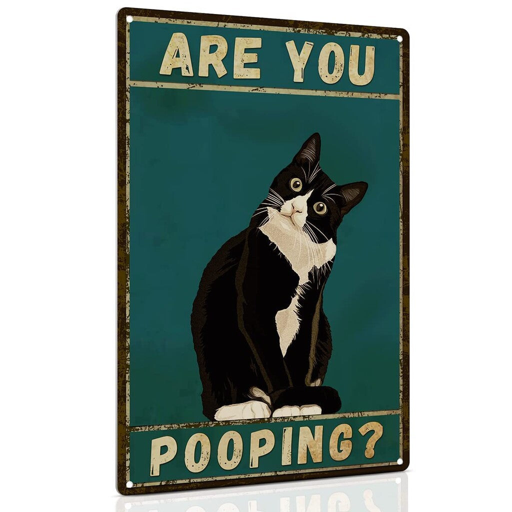 🚽Funny Bathroom Wall Decor Signs – Quirky Toilet Hangings For A Good Laugh 😂