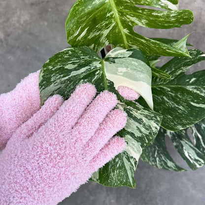 🧤 Dust with a touch – microfiber gloves that grab every speck! ✨