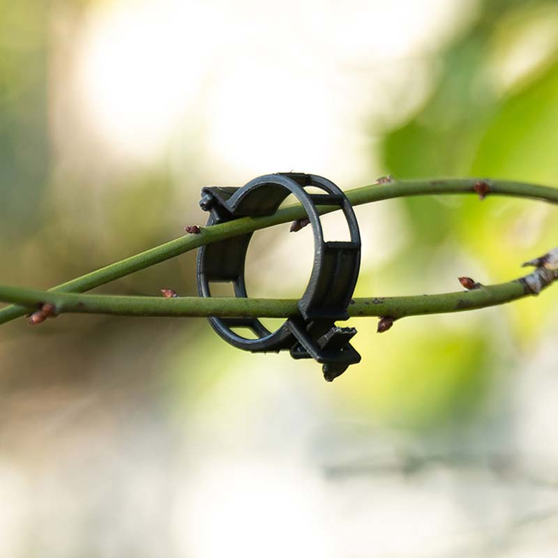 🍅 Help your crops and climbing plants thrive—just one clip, and you’ll never have to worry about drooping vines again! 🌿