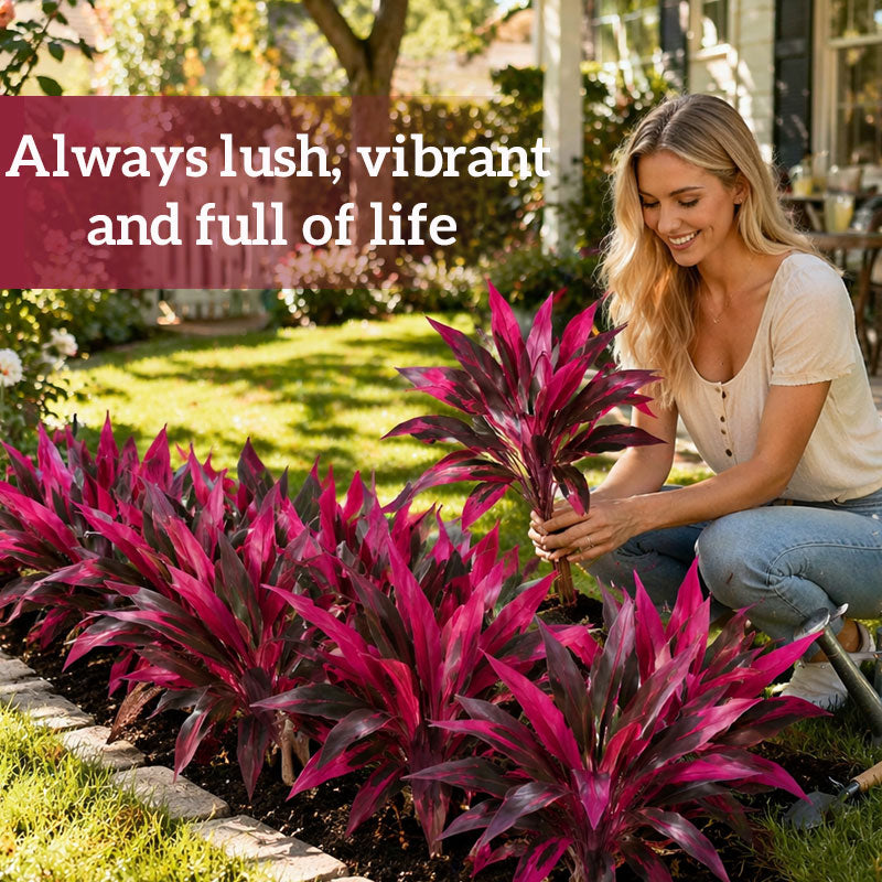 🌹Artificial Dracaena fragrans🌿