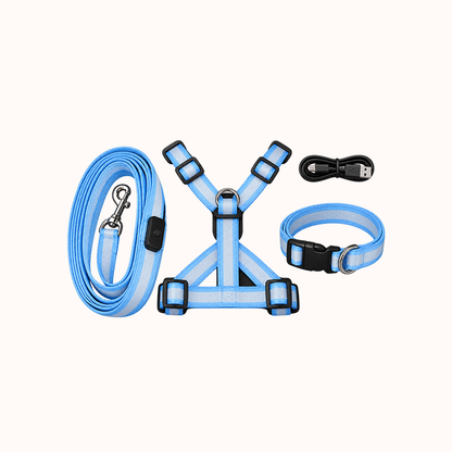 🐕LED Dog Harness & Leash Set — Bright Night Walks, Easier to Spot After Dark