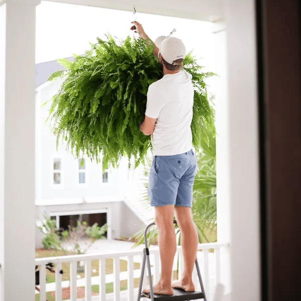 🌿So real, you’ll try to water it☀️ Sun won’t fade it, rain won’t ruin it – outdoor‑ready artificial fern!   🛡️
