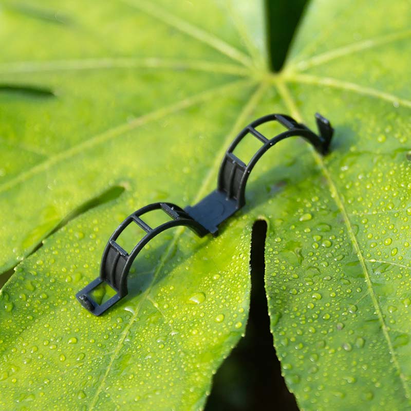 🍅 Help your crops and climbing plants thrive—just one clip, and you’ll never have to worry about drooping vines again! 🌿