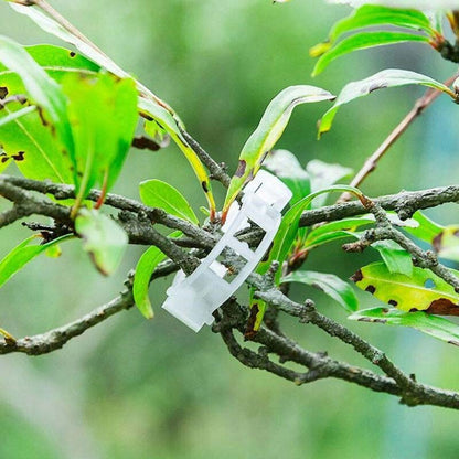 🍅 Help your crops and climbing plants thrive—just one clip, and you’ll never have to worry about drooping vines again! 🌿