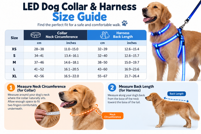 🐕LED Dog Harness & Leash Set — Bright Night Walks, Easier to Spot After Dark