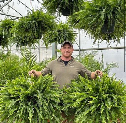 🌿So real, you’ll try to water it☀️ Sun won’t fade it, rain won’t ruin it – outdoor‑ready artificial fern!   🛡️