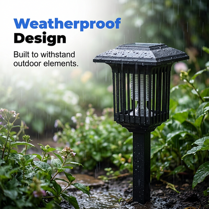 Take Back Your Backyard from Pesky Mosquitoes! 🦟❌🏡