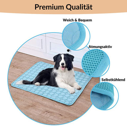 🐶 🐱Save Your Pet From Summer Heat! 🧊