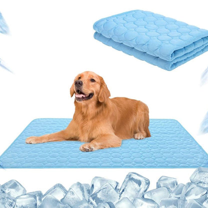 🐶 🐱Save Your Pet From Summer Heat! 🧊